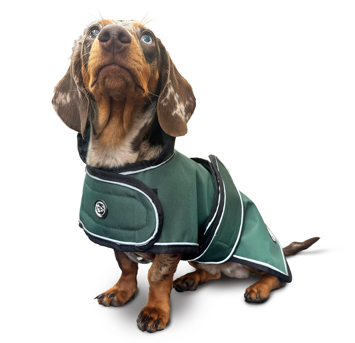 Teckel Trajes Para Perros Salchichas Salchicha Impermeable Abrigo
