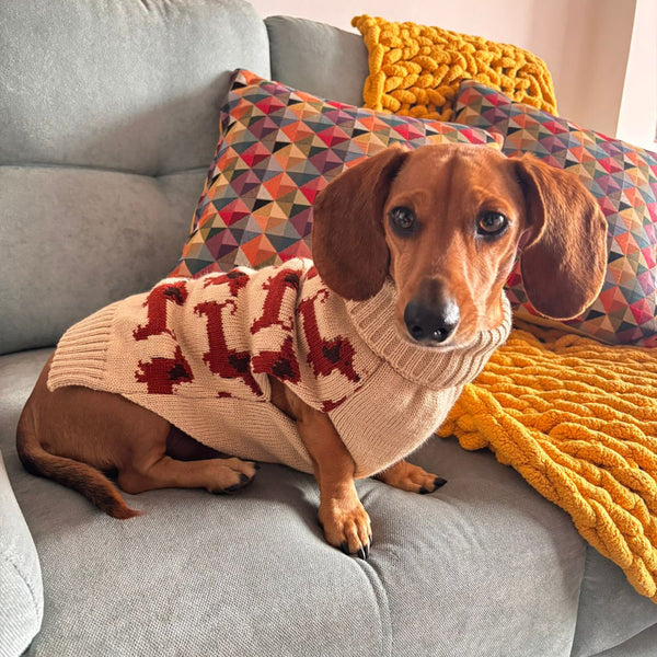 Suéter de Perros Salchichas Hecho a la Medida - Theo & Pretzel