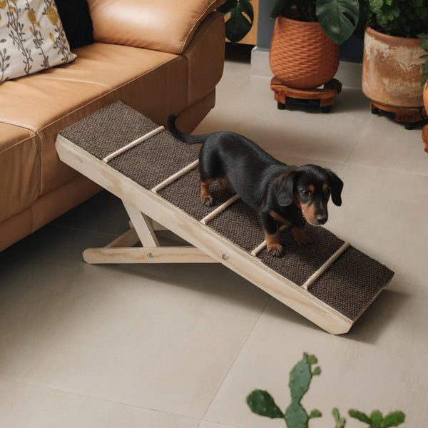 Rampa Ajustable Para Perros by Ding Dog